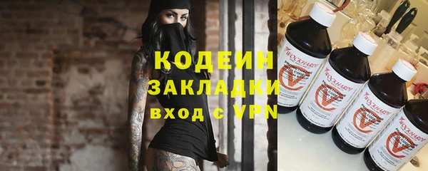 шишки Арсеньев