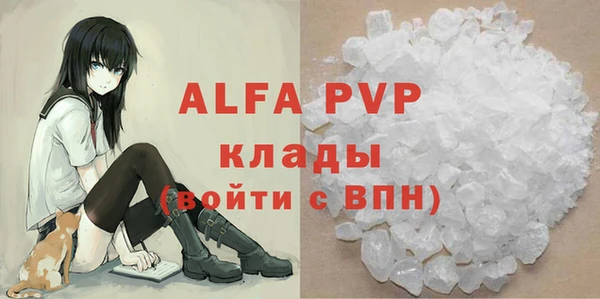 шишки Арсеньев