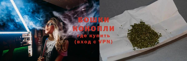 шишки Арсеньев