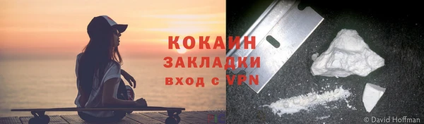 шишки Арсеньев