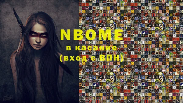 шишки Арсеньев