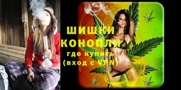шишки Арсеньев