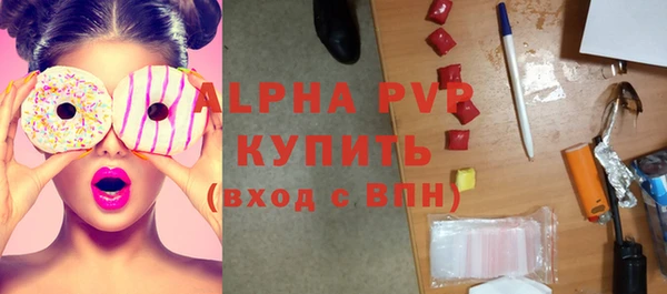 шишки Арсеньев