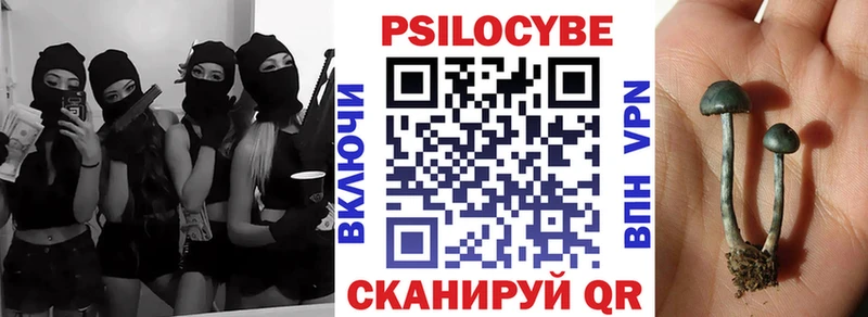 omg ссылка  Ржев  Псилоцибиновые грибы Cubensis 
