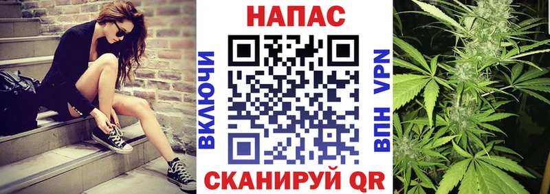 дарк нет состав  Ржев  Канабис план 